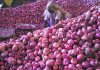 80 રૂપિયા કિલોએ પહોંચ્યો ડુંગળીનો ભાવ..!!!