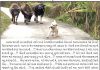 આમ તો કહેવાય છે જિસકી લાઠી ઉસકી ભેંસ …!!