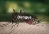 ગાંધીનગર સિવિલમાં એક જ સપ્તાહ દરમ્યાન 169 ડેન્ગ્યુ ના દર્દીઓ