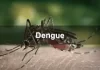 બાંગ્લાદેશમાં ડેન્ગ્યુના 3 લાખથી વધુ કેસ…..