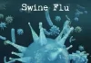 ગુજરાતમાં સ્વાઈન ફ્લૂનો પગપેસારો….