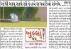 ગાંધી બાપુ સાથે સૌને હવે સગવડિયો સઁબઁધ ..!!