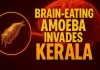 Brain Eating Amoeba:કેરળમાં મૃત્યુ સતત વધી રહ્યા છે…..