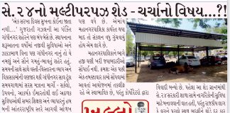 સે.24 નો મલ્ટી પરપઝ શેડ – ચર્ચાનો વિષય ??!!