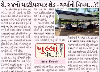 સે.24 નો મલ્ટી પરપઝ શેડ – ચર્ચાનો વિષય ??!!