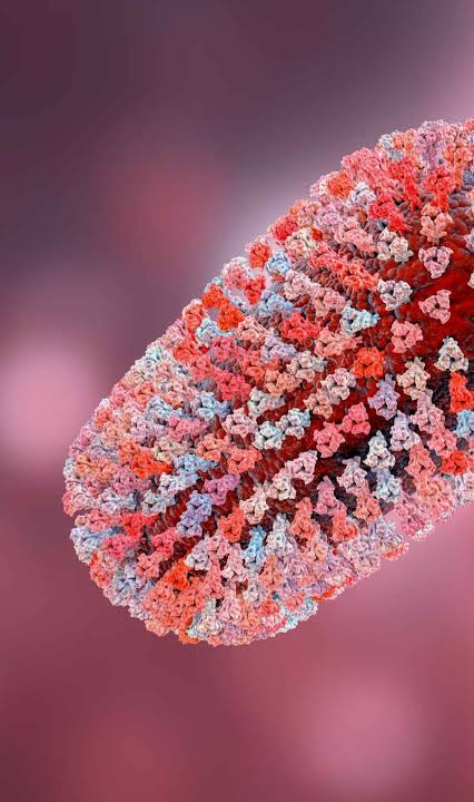 CHANDIPURA VIRUS